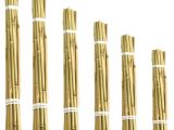Bambu 