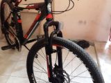  Bianchi aspid 36 satılık 