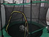  Trampolin zıp zıp